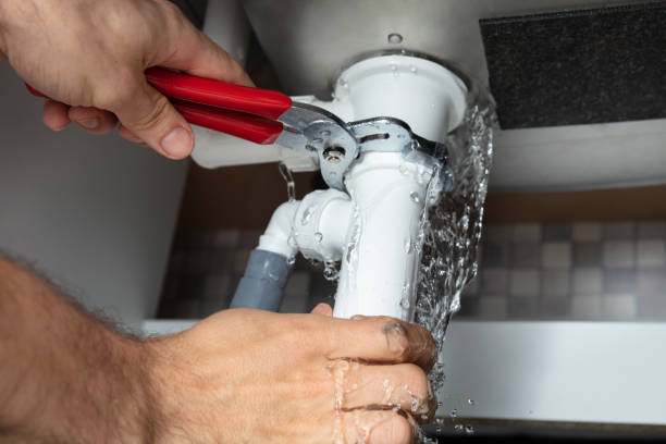 Best Residential water damage restoration  in North Branch, MN