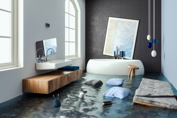 Best Water damage repair service  in North Branch, MN