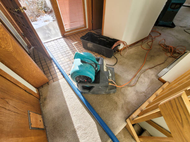 Best Water damage restoration near me  in North Branch, MN