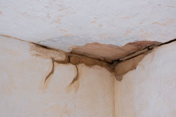 Best Flood damage cleanup  in North Branch, MN