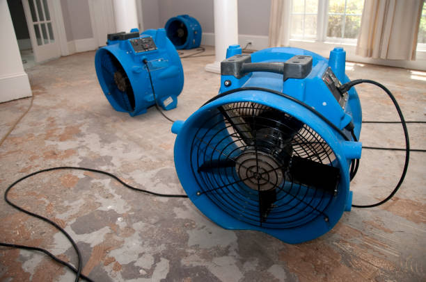 Reliable North Branch, MN Water damage restoration Solutions