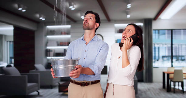 Best Ceiling water damage repair  in North Branch, MN