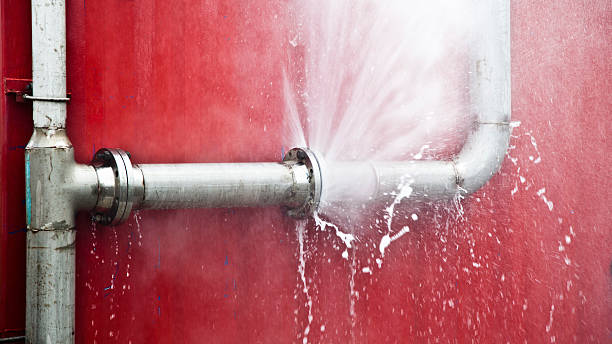 Best Flood restoration services  in North Branch, MN
